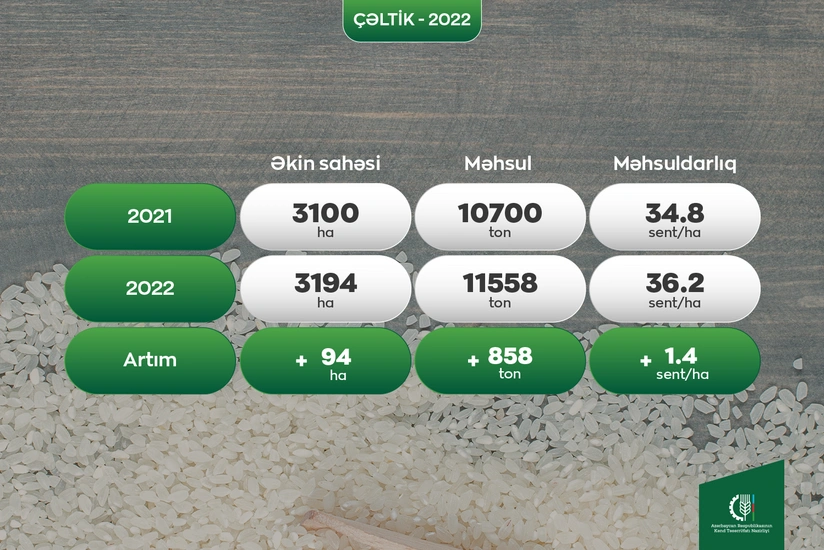 В Азербайджане завершилась уборка риса