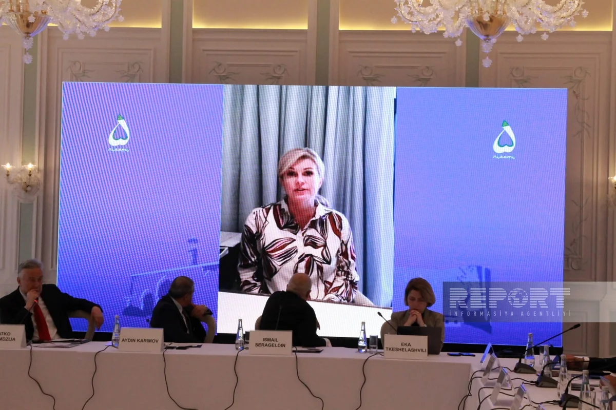 Ex-president of Croatia: Ready to share mine clearance experience with Azerbaijan