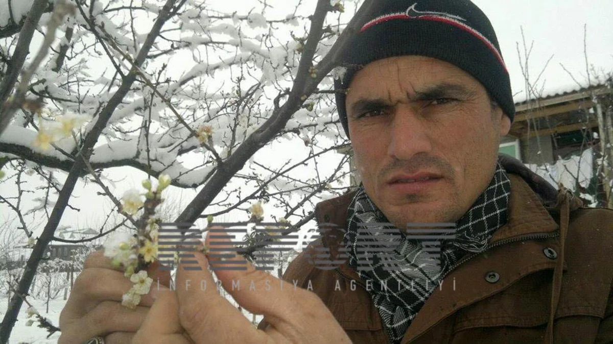 ​Cəlilabadda qeyri-adi təbiət hadisəsi baş verib - FOTO