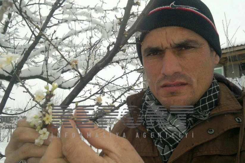 ​Cəlilabadda qeyri-adi təbiət hadisəsi baş verib - FOTO