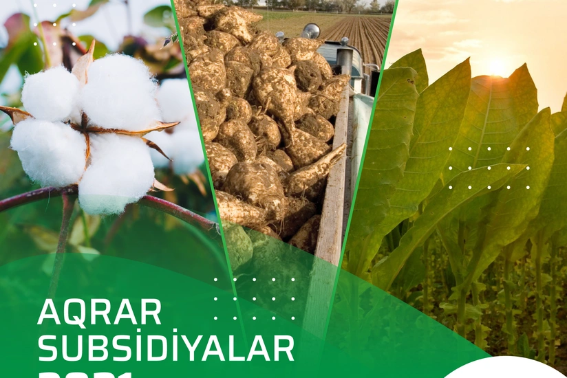 Subsidiya almaq üçün müraciətlərin müddəti mayın sonunda başa çatır