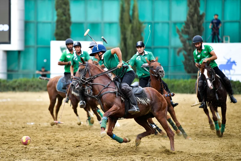Peşəkar Çövkən Liqasında yeni mövsümə sabah start veriləcək
