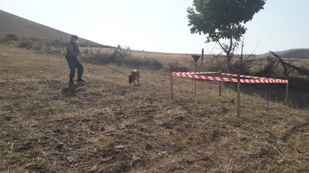 Tovuzda top mərmiləri aşkarlandı