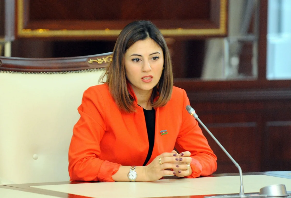 Milli Məclisin deputatı AŞPA-nın komitə iclasında iştirak edəcək