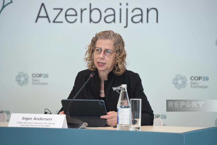 Andersen: Hosting World Environment Day in Azerbaijan is a large-scale initiative