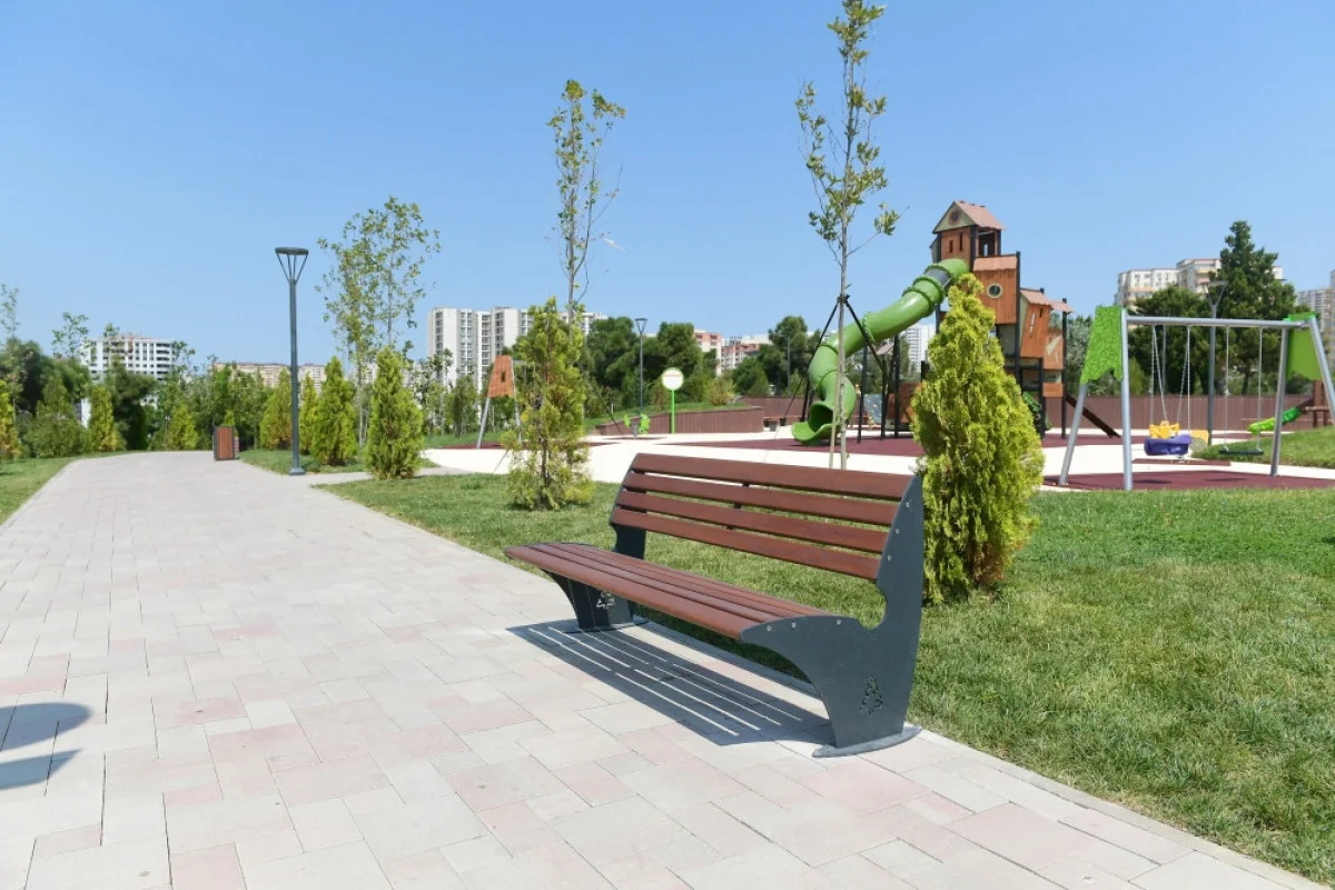 Gəncədə parkdan oturacaq oğurlanıb