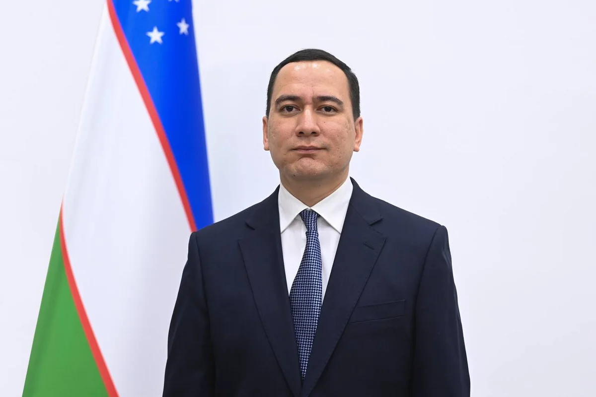 Uzbek deputy minister: ICT sector needs joint investment projects