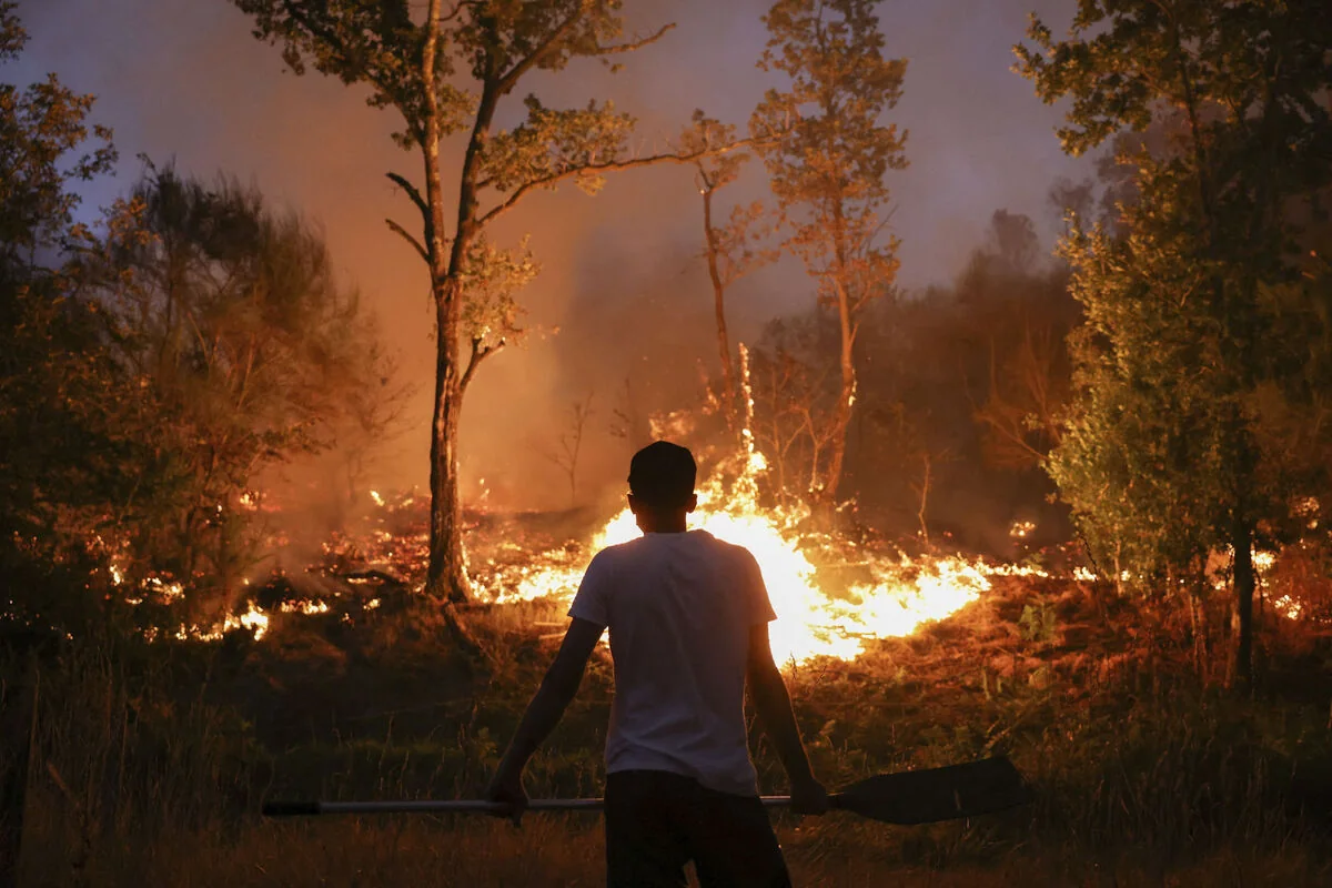 В Испании задержаны 48 человек по подозрению в поджоге лесов