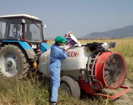Azərbaycana İtaliya çəyirtkəsinin miqrasiyasının qarşısı alınıb