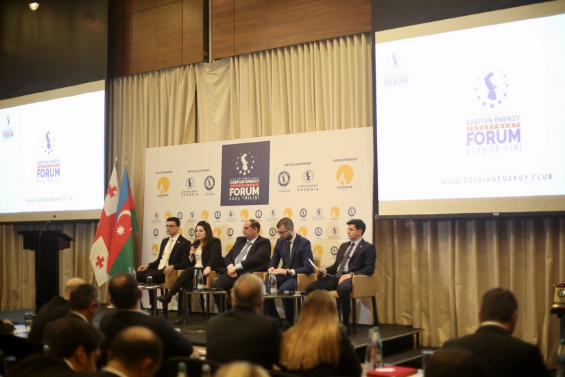 İşğaldan azad olunmuş ərazilərdə Gürcüstan şirkətlərinin iştirakı müzakirə olunub