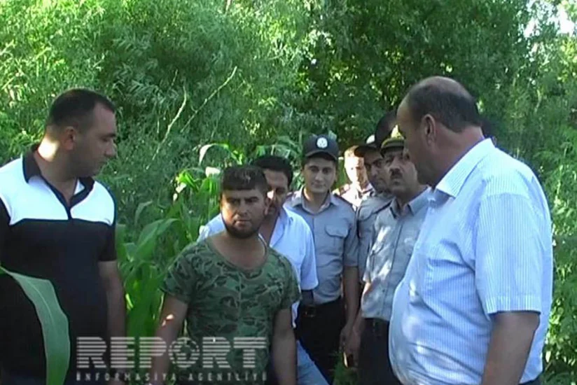 ​Sabirabadda rayon sakininin həyətindən çətənə kolları aşkarlanıb