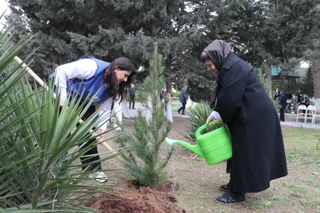 Yel çərşənbəsində Ahıllar evinin sakinləri ilə birgə ağac əkilib