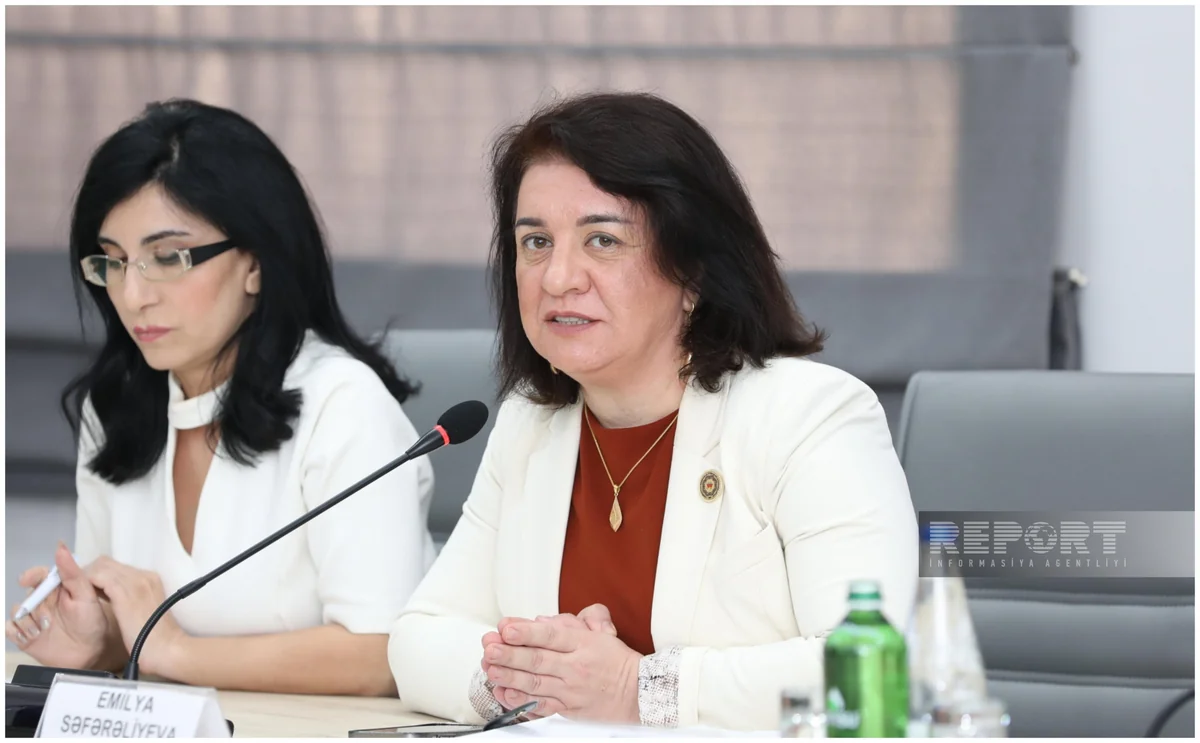 Emilya Səfərəliyeva: KTİM Azərbaycanda turizm sektorunun inkişafına töhfə verməyə çalışır
