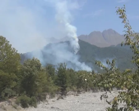 Oğuz rayonu ərazisindəki meşələrdə yanğın baş verib