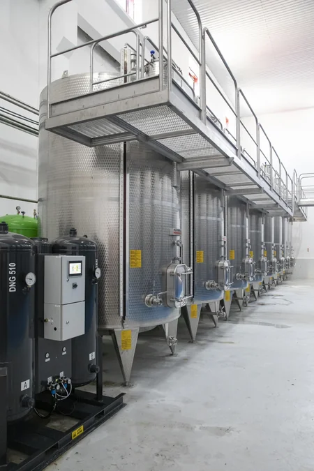 “Şəki Şərab” zavodunda köpüklənən şərabların istehsalına başlanılıb