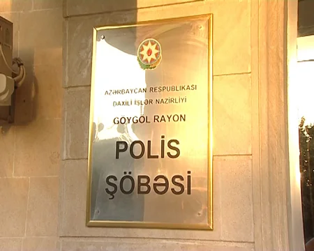 Göygöldə yabanı halda bitən çətənə kolları aşkar olunaraq məhv edilib