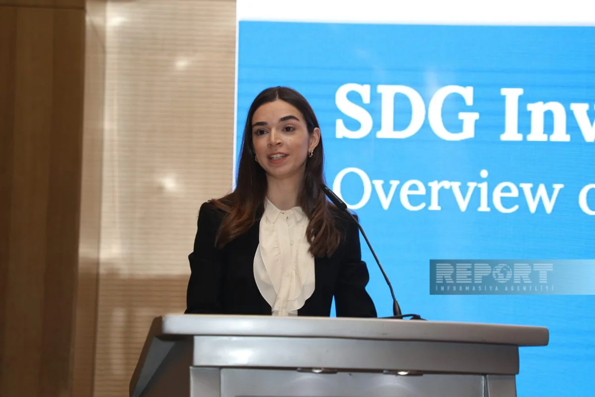 Türkiyəli ekspert təhsil sahəsinə investisiya cəlb etməyin yolunu açıqlayıb