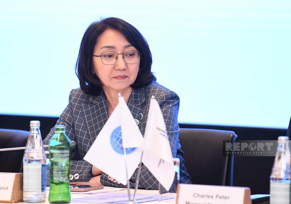 Gulbara Sultanova: NGOs can contribute to solving many contemporary issues