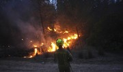 Avropa İttifaqı İsrailə meşə yanğınları ilə mübarizədə kömək edəcək