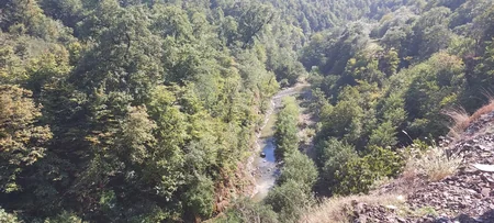 Lerikə istirahətə gedən gənc çayda boğularaq ölüb