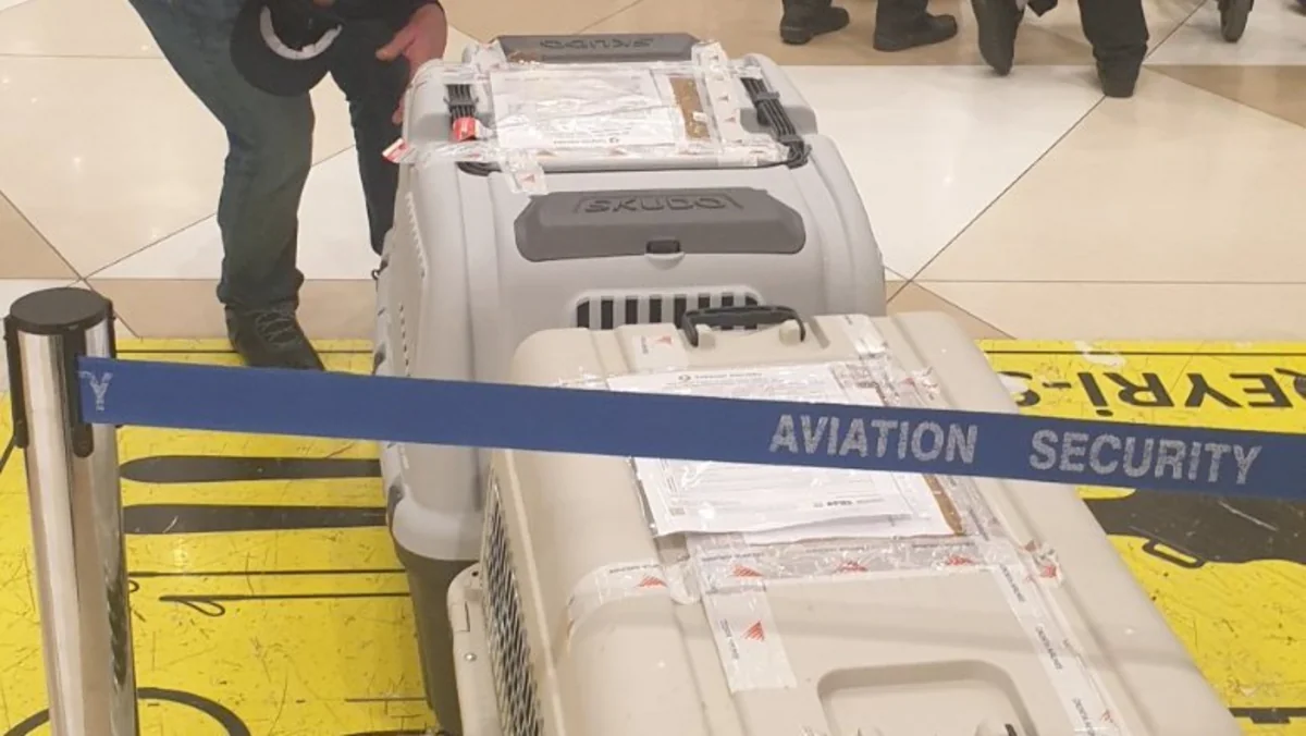 Two specially trained mine detection dogs brought to Azerbaijan