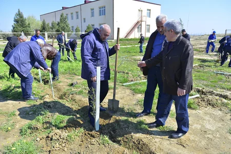SOCAR əməkdaşları 5 900 ağac əkib