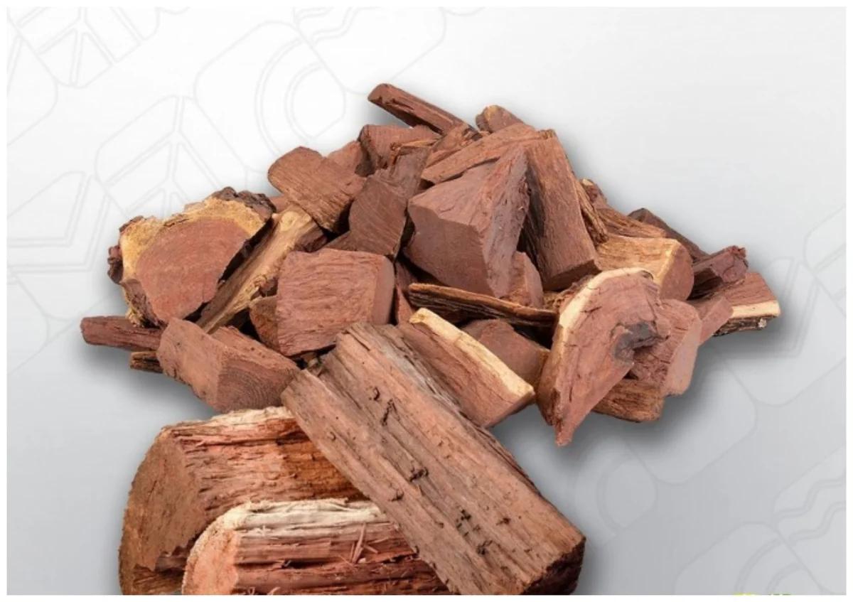 Ölkə ərazisində oduncaq tədarükü davam edir