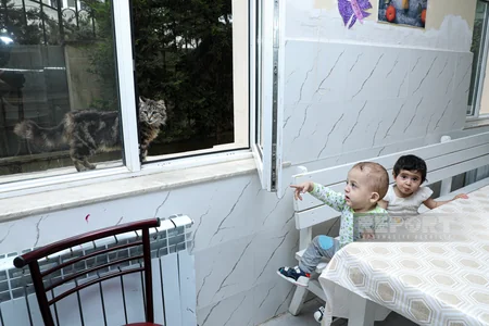 Ovcunda tut gətirən oğlan, meyitlə yaşayan bacı-qardaş və “xəstə” qəlbləri sağaltmaq arzusu - REPORTAJ