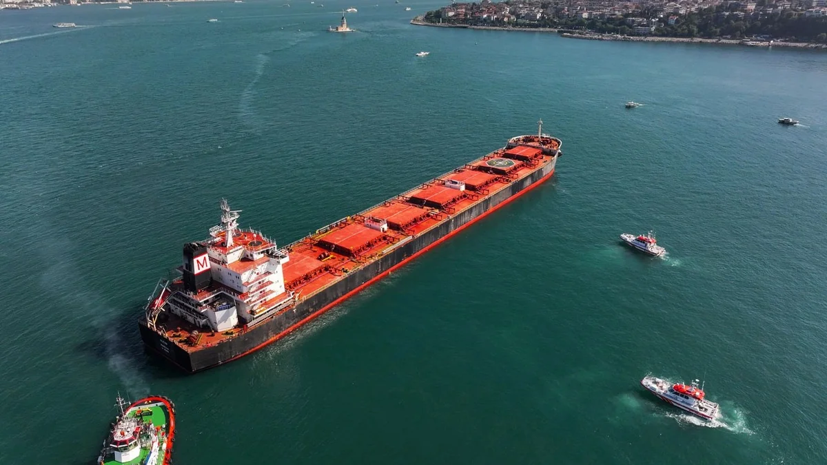 Bosfor boğazından gəmilərin hərəkəti dayandırılıb