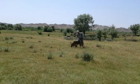 Cocuq Mərcanlıda partlamamış hərbi sursat və 2 ədəd mina aşkar edilib