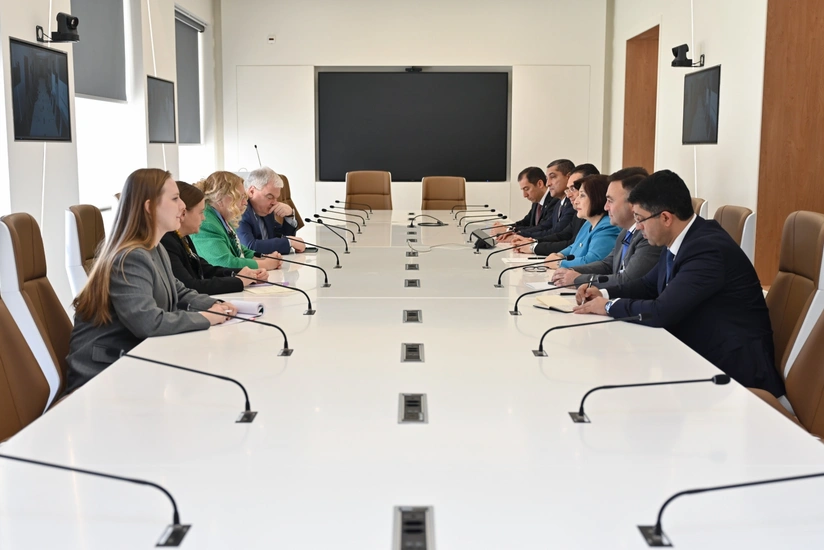 Sahiba Gafarova meets with UN director-general