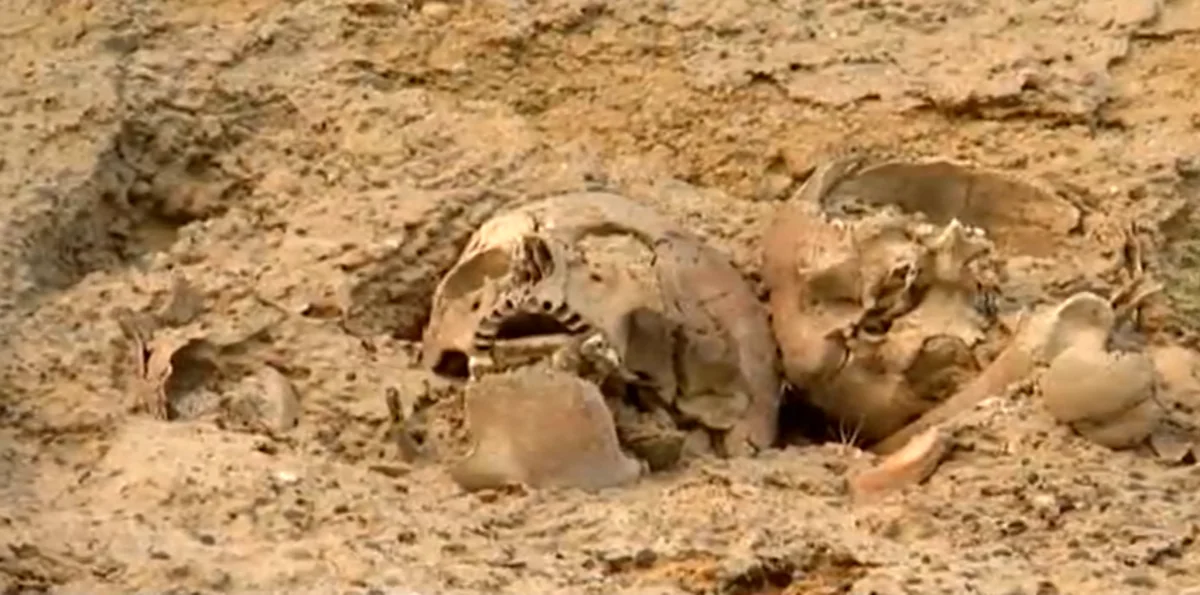 В Баку нашли человеческие кости