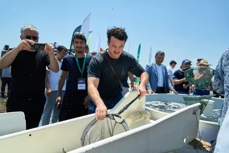 5000 endemic sturgeon fish released into the Caspian Sea as part of Azerbaijan Fish Farm and AZANS cooperation – PHOTO