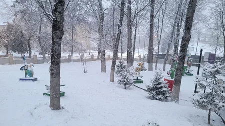 Şuşaya güclü qar yağıb