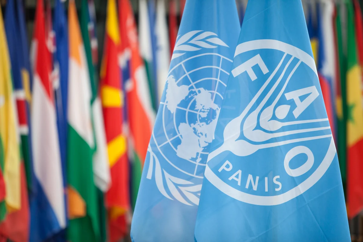 FAO: Azerbaijan's ecosystem one of most biologically diverse globally
