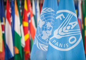 FAO: Azerbaijan's ecosystem one of most biologically diverse globally