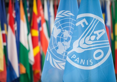 FAO: Azərbaycan dünyanın bioloji baxımdan ən zəngin ekosistemlərindən biridir