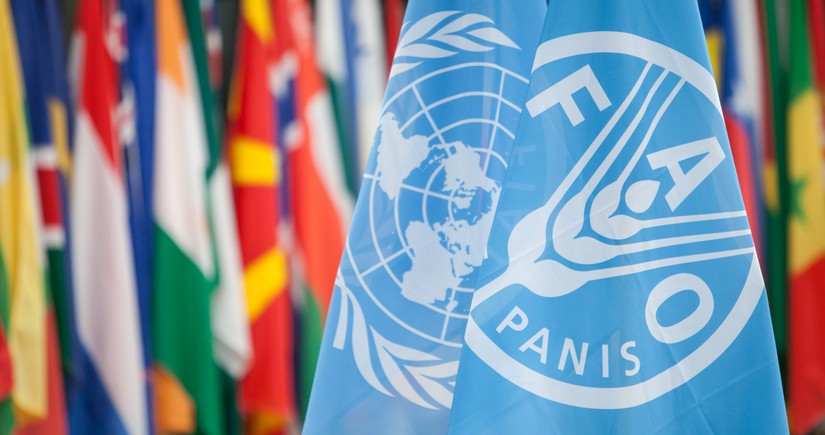 FAO: Azərbaycan dünyanın bioloji baxımdan ən zəngin ekosistemlərindən biridir
