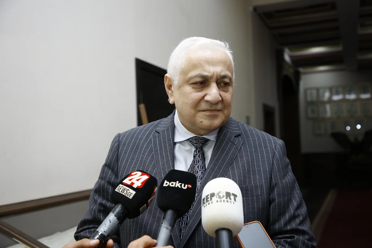 Gürcüstanın ali məktəbi Azərbaycanşünaslıq mərkəzinin yaradılmasına hazırdır