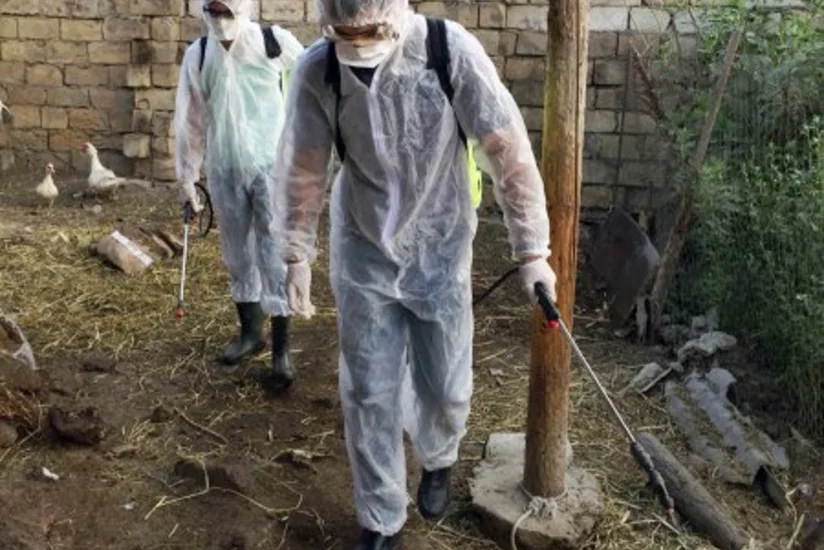 Bakı, Salyan, Hacıqabul və Saatlıda yerləşən təsərrüfatlarda dezinfeksiya tədbirləri görülür