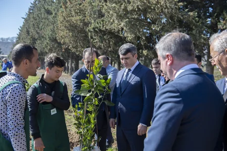 Azərbaycanda müqavilə əsaslı təsərrüfatçılıq formalaşdırılır