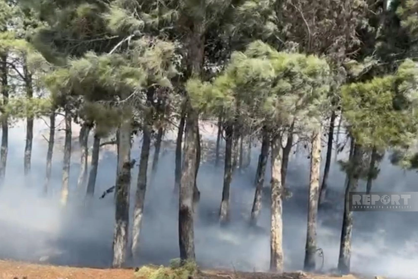 Bakı-Sumqayıt yolundakı yanğın söndürülüb - YENİLƏNİB