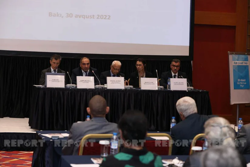 “İtkin düşmüş şəxslərin şəxsiyyətinin müəyyən edilməsi – Humanitar yanaşma” mövzusunda konfrans keçirilib