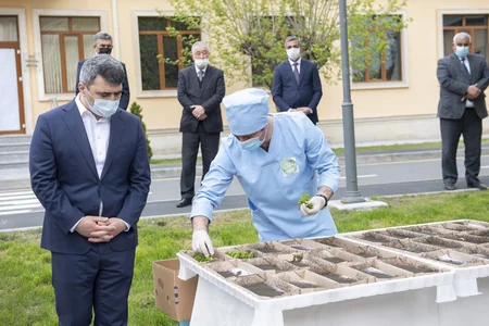 İnam Kərimov: Bu il ipəkçilikdə bol məhsuldarlıq gözlənilir