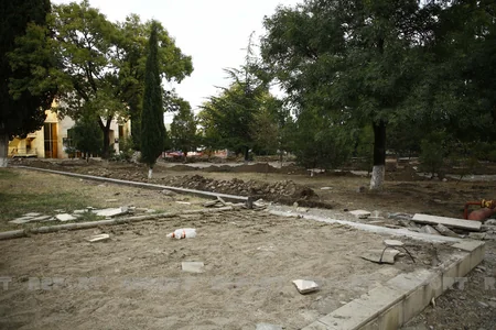 Gürcüstanda Nəriman Nərimanov adına park yenidən qurulur