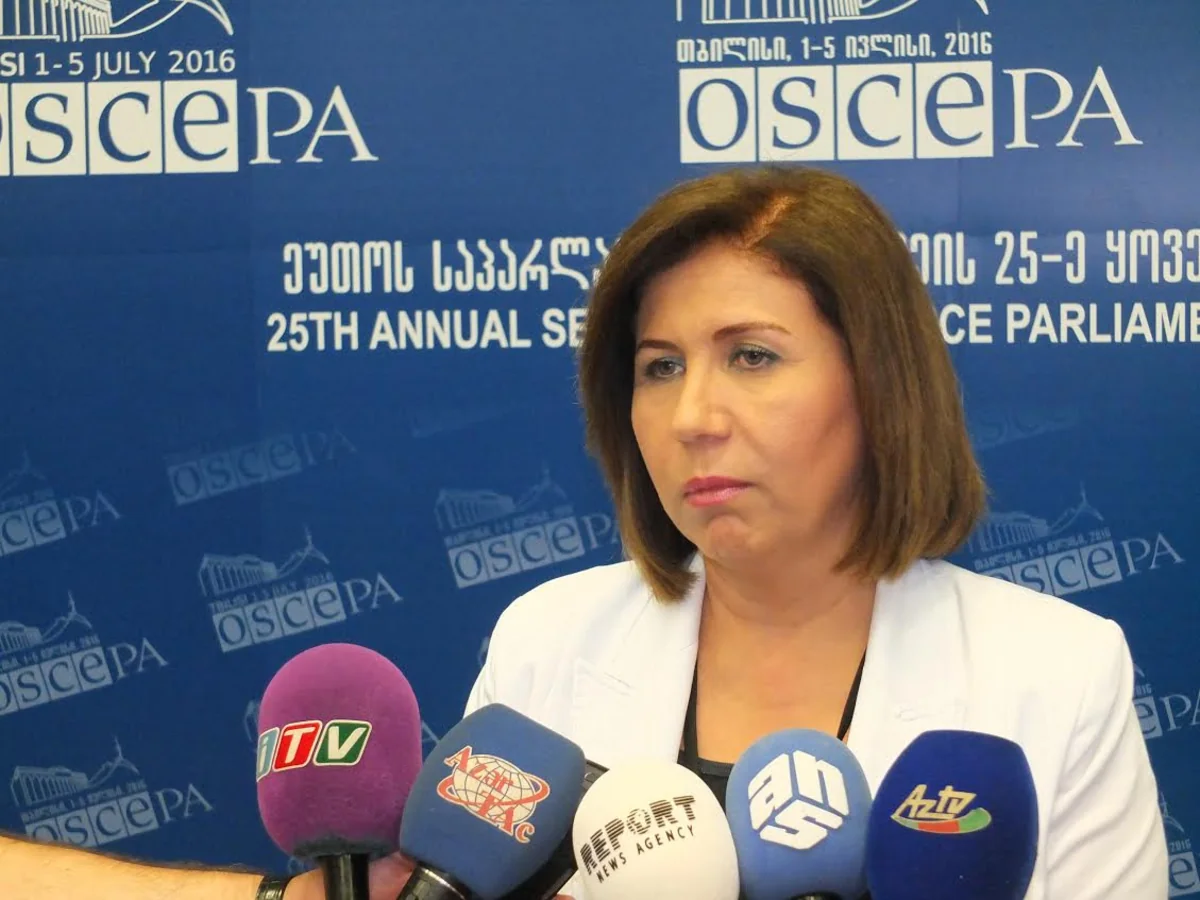 ​Bahar Muradova: Azərbaycan nümayəndə heyəti ATƏT PA-nın komitə iclaslarında bir çox nailiyyətlərə imza atıb