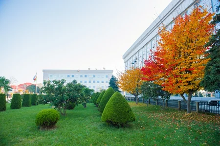 Lənkəranda “Qızıl payız” - FOTOREPORTAJ