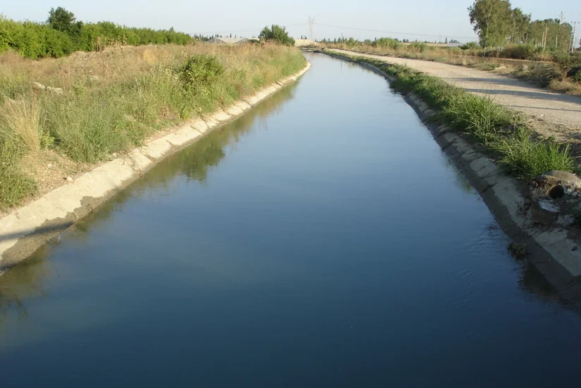 Şabranda qardaş bacısını su kanalında boğaraq öldürdü