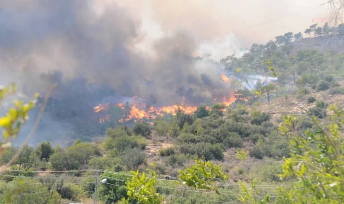 Many evacuated due to wildfires in Turkiye 