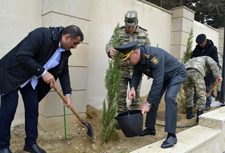 İkinci Şəhidlər xiyabanında növbəti ağacəkmə aksiyası keçirilib